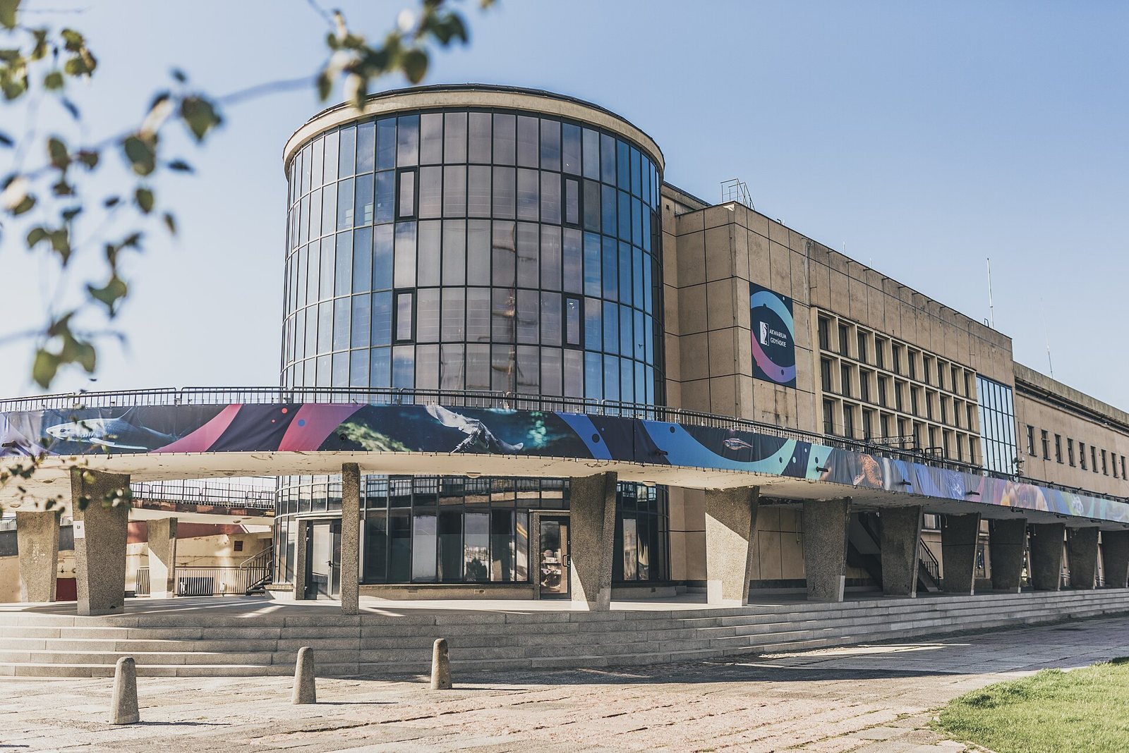 Akwarium Gdyńskie