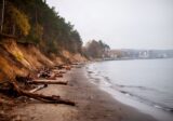 Piaszczysta plaża pod stromym zalesionym klifem nad Zatoką Gdańską jesienią